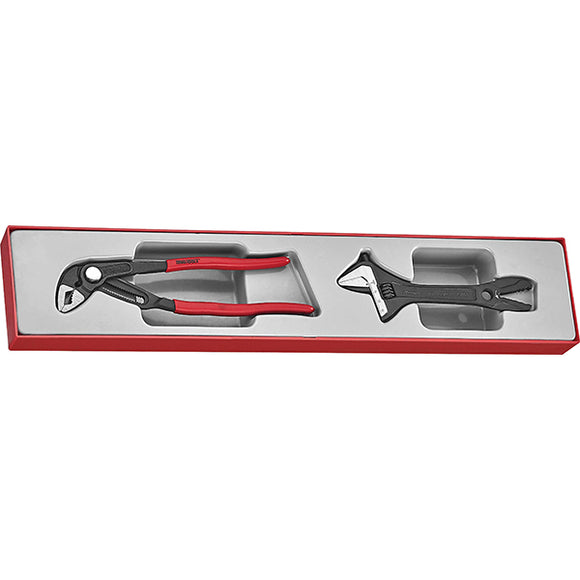 Teng 2pc Plier/Adjustable Wrench Set - TTX-Tray