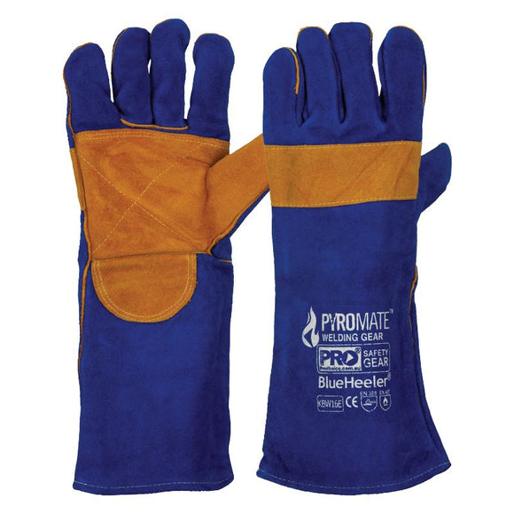 Pyromate Blue Heeler - Blue & Gold Large Blue + Gold