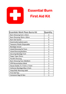 Burn Injury Essentials First Aid Kit Clear Plastic Box Store or Wall Mount